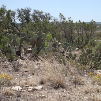 TweedyRanch (25)